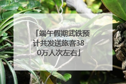 端午假期武铁预计共发送旅客380万人次左右
