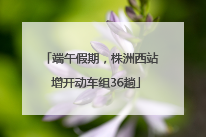 端午假期，株洲西站增开动车组36趟