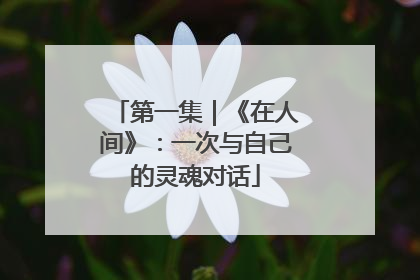 第一集｜《在人间》：一次与自己的灵魂对话