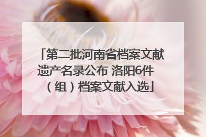 第二批河南省档案文献遗产名录公布 洛阳6件（组）档案文献入选