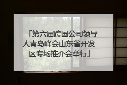 第六届跨国公司领导人青岛峰会山东省开发区专场推介会举行
