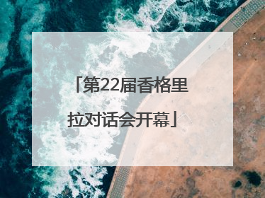 第22届香格里拉对话会开幕