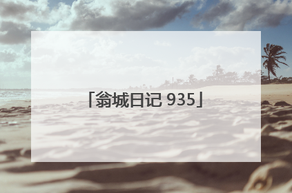 翁城日记 935