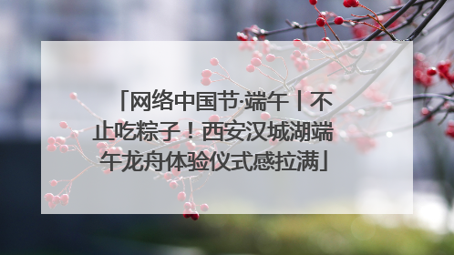 网络中国节·端午丨不止吃粽子！西安汉城湖端午龙舟体验仪式感拉满