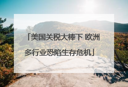 美国关税大棒下 欧洲多行业恐陷生存危机