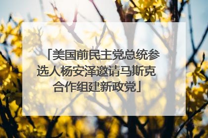 美国前民主党总统参选人杨安泽邀请马斯克合作组建新政党