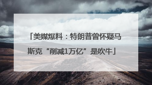 美媒爆料：特朗普曾怀疑马斯克“削减1万亿”是吹牛