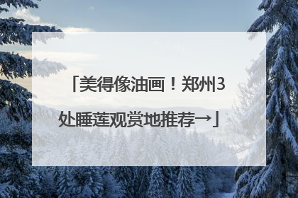 美得像油画！郑州3处睡莲观赏地推荐→