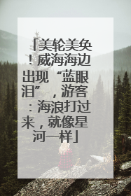 美轮美奂！威海海边出现“蓝眼泪”，游客：海浪打过来，就像星河一样