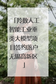 羚数人工智能工业垂类大模型项目签约落户无锡高新区