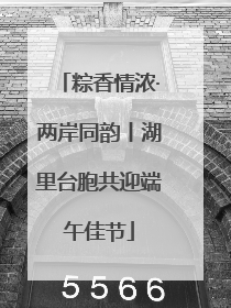 粽香情浓·两岸同韵丨湖里台胞共迎端午佳节