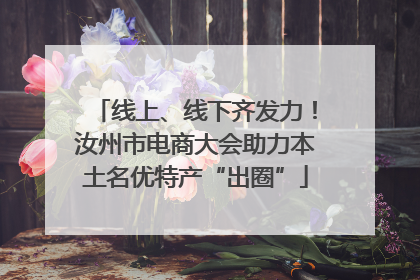 线上、线下齐发力！汝州市电商大会助力本土名优特产“出圈”