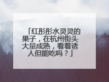 红彤彤水灵灵的果子，在杭州街头大量成熟，看着诱人但能吃吗？