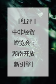 红评丨中非经贸博览会：湖南开放新引擎