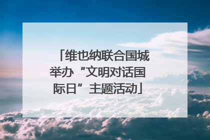 维也纳联合国城举办“文明对话国际日”主题活动