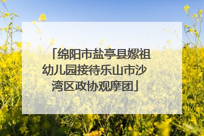 绵阳市盐亭县嫘祖幼儿园接待乐山市沙湾区政协观摩团