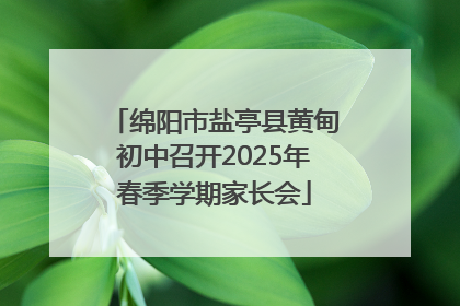 绵阳市盐亭县黄甸初中召开2025年春季学期家长会