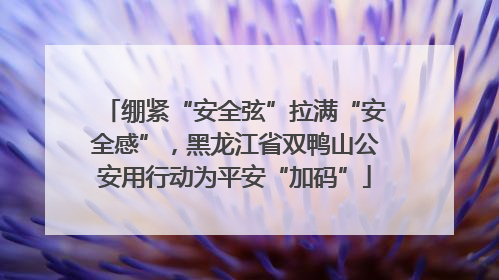 绷紧“安全弦”拉满“安全感”，黑龙江省双鸭山公安用行动为平安“加码”