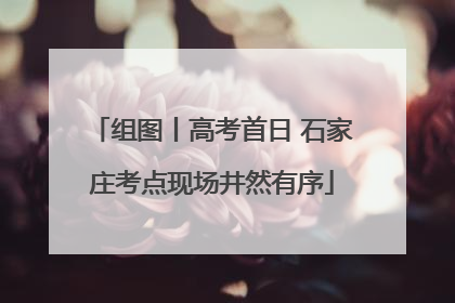 组图丨高考首日 石家庄考点现场井然有序