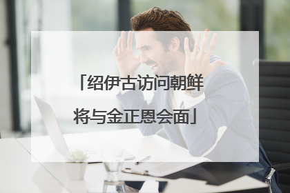 绍伊古访问朝鲜 将与金正恩会面
