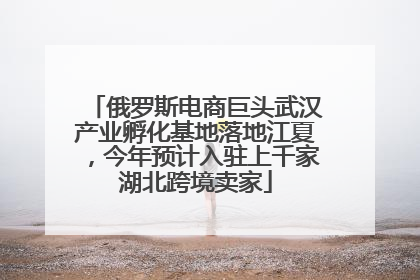 俄罗斯电商巨头武汉产业孵化基地落地江夏，今年预计入驻上千家湖北跨境卖家