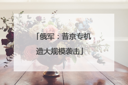 俄军：普京专机遭大规模袭击
