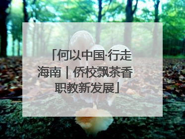 何以中国·行走海南｜侨校飘茶香 职教新发展