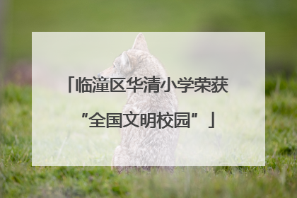 临潼区华清小学荣获“全国文明校园”