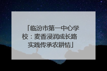 临汾市第一中心学校：麦香浸润成长路 实践传承农耕情
