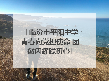 临汾市平阳中学：青春向党担使命 团徽闪耀践初心