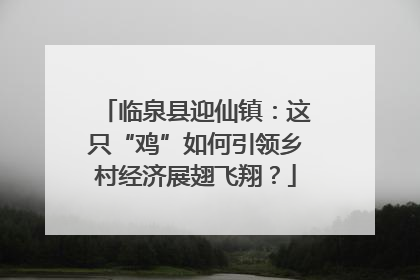 临泉县迎仙镇：这只“鸡”如何引领乡村经济展翅飞翔？