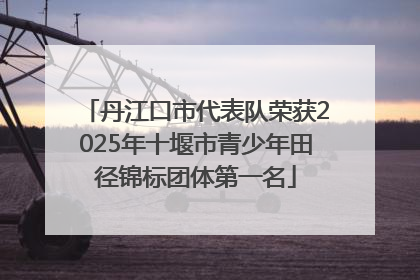 丹江口市代表队荣获2025年十堰市青少年田径锦标团体第一名