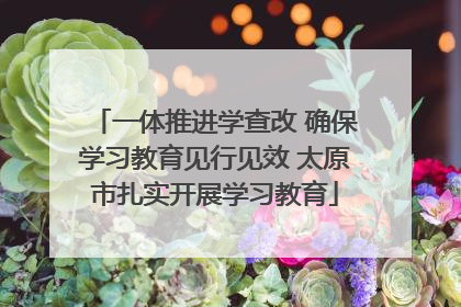 一体推进学查改 确保学习教育见行见效 太原市扎实开展学习教育