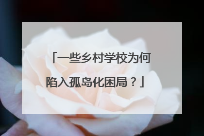 一些乡村学校为何陷入孤岛化困局？