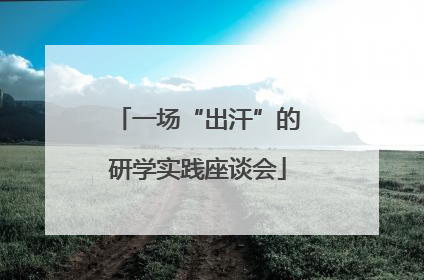 一场“出汗”的研学实践座谈会
