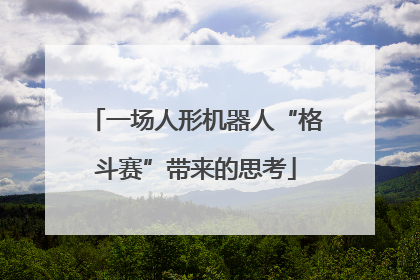 一场人形机器人“格斗赛”带来的思考