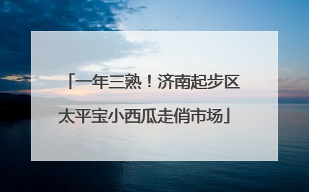 一年三熟！济南起步区太平宝小西瓜走俏市场