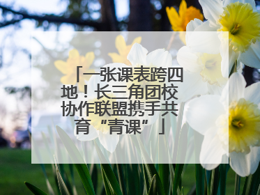 一张课表跨四地！长三角团校协作联盟携手共育“青课”