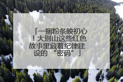 一捆粉条映初心！大别山这些红色故事里藏着纪律建设的 “密码”