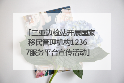 三亚边检站开展国家移民管理机构12367服务平台宣传活动