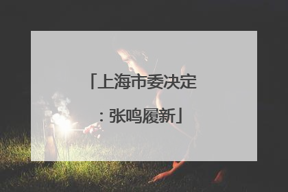 上海市委决定：张鸣履新