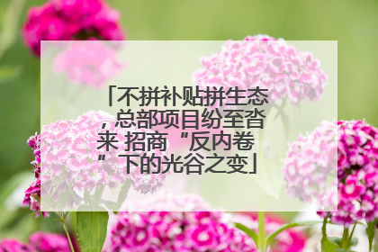 不拼补贴拼生态，总部项目纷至沓来 招商“反内卷”下的光谷之变