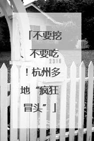 不要挖、不要吃！杭州多地“疯狂冒头”