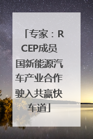 专家：RCEP成员国新能源汽车产业合作驶入共赢快车道