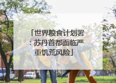 世界粮食计划署：苏丹首都面临严重饥荒风险