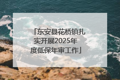 东安县花桥镇扎实开展2025年度低保年审工作