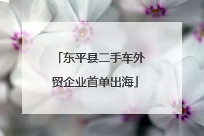 东平县二手车外贸企业首单出海
