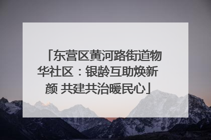 东营区黄河路街道物华社区：银龄互助焕新颜 共建共治暖民心
