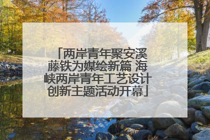 两岸青年聚安溪 藤铁为媒绘新篇 海峡两岸青年工艺设计创新主题活动开幕