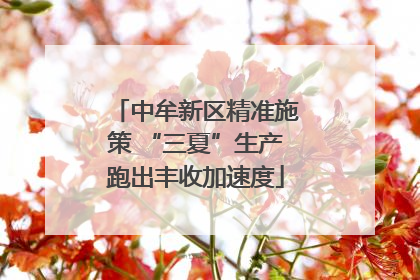 中牟新区精准施策 “三夏”生产跑出丰收加速度